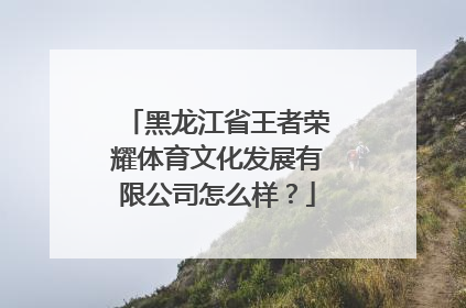 黑龙江省王者荣耀体育文化发展有限公司怎么样？